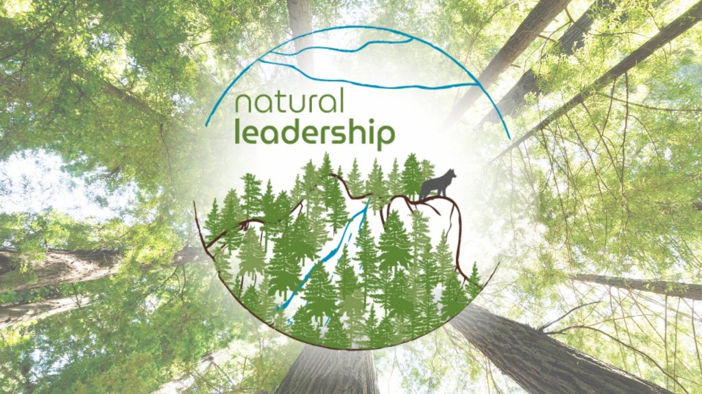 Natural Leadership - Instill resilience in your business