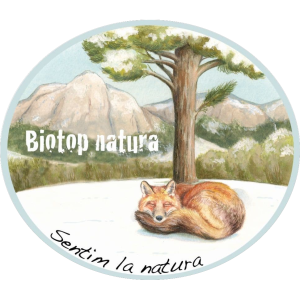 Logo Biotop fons transparent[4686]